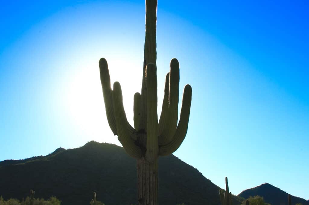 Home Care in Queen Creek AZ