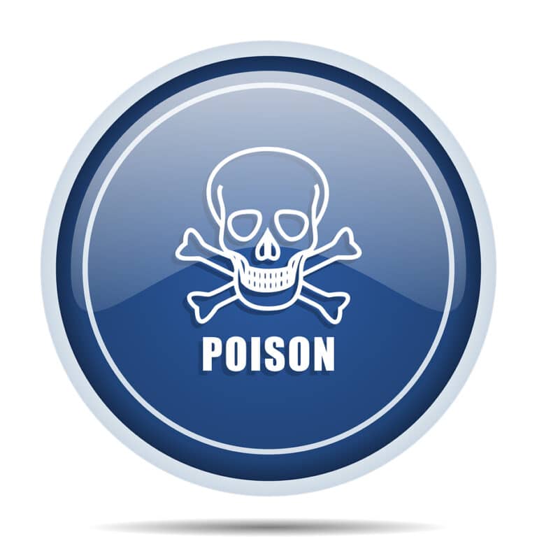 Elder Care in Scottsdale AZ: Avoiding Food Poisoning